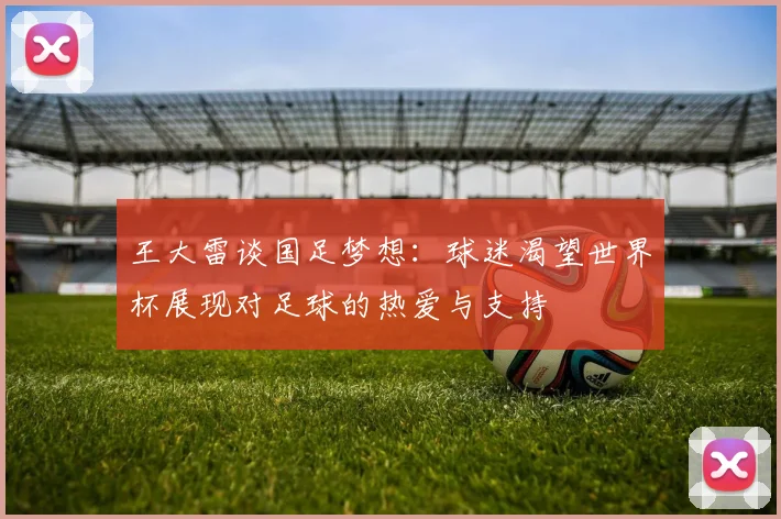 王大雷谈国足梦想：球迷渴望世界杯展现对足球的热爱与支持