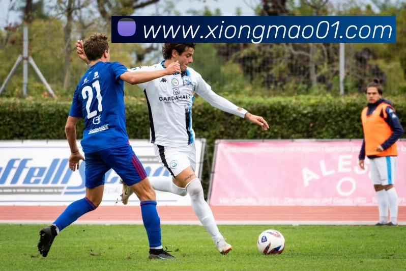 熊猫体育平台生态图