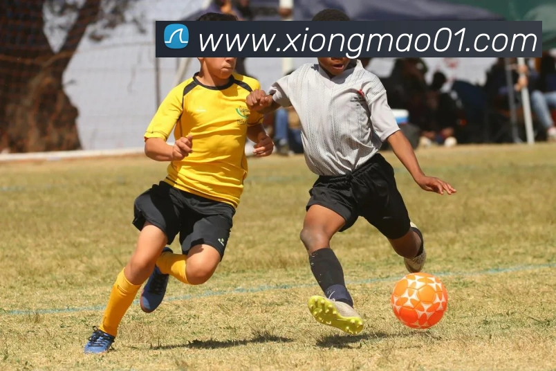 熊猫体育APP 封面图